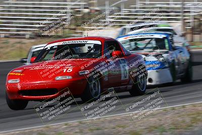 media/May-04-2024-Lucky Dog Racing (Sat) [[d39539b3f3]]/Practice I Qualifying (Turn 4a)/